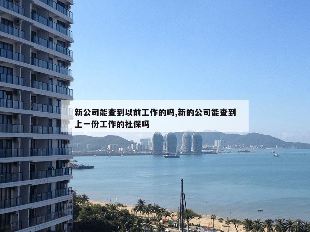 新公司能查到以前工作的吗,新的公司能查到上一份工作的社保吗