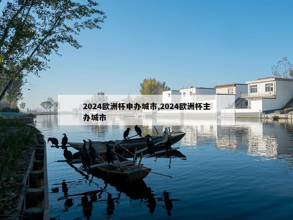 2024欧洲杯申办城市,2024欧洲杯主办城市