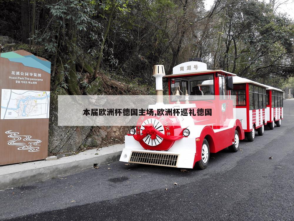 本届欧洲杯德国主场,欧洲杯巡礼德国