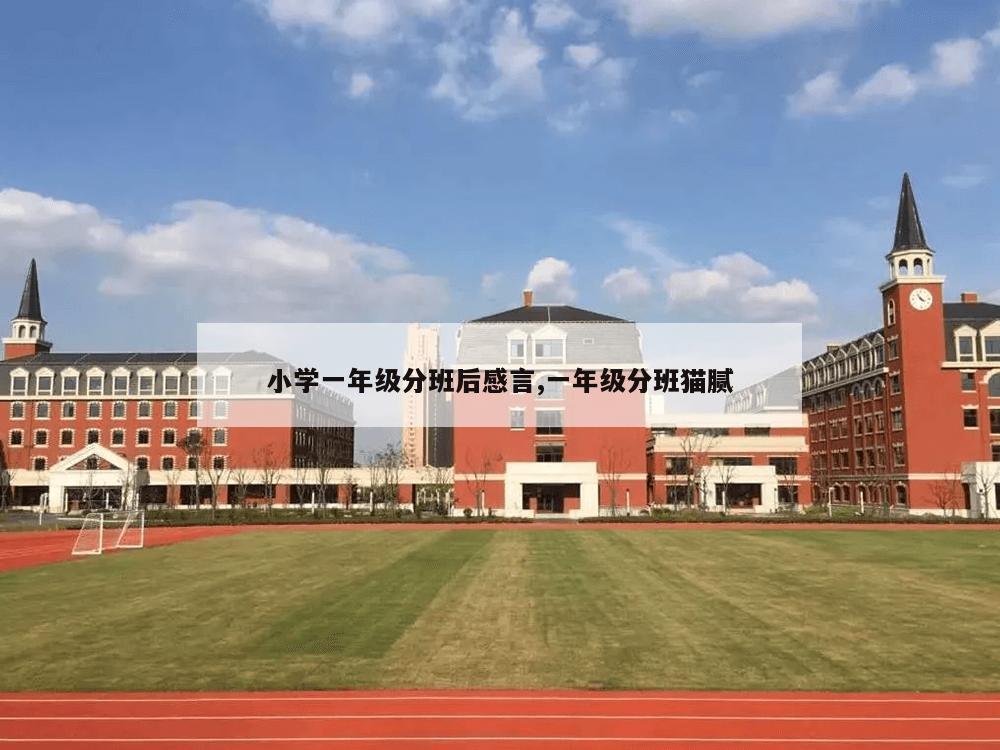 小学一年级分班后感言,一年级分班猫腻