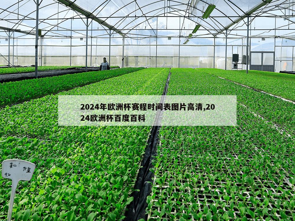 2024年欧洲杯赛程时间表图片高清,2024欧洲杯百度百科