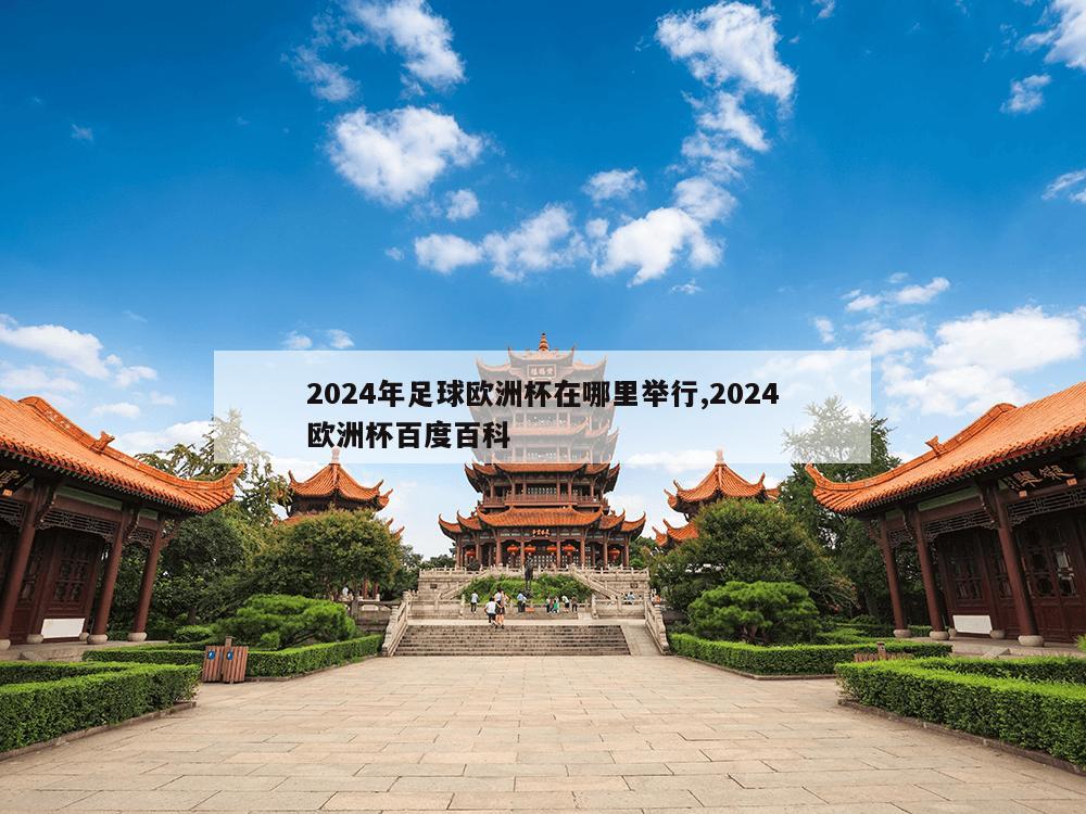 2024年足球欧洲杯在哪里举行,2024欧洲杯百度百科