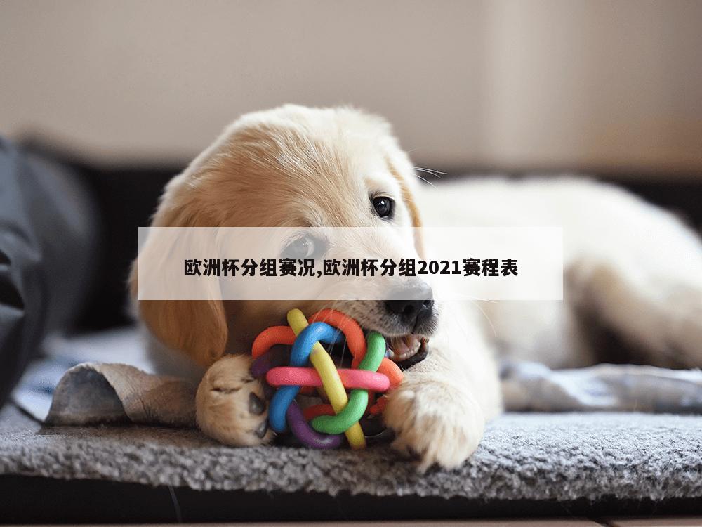 欧洲杯分组赛况,欧洲杯分组2021赛程表