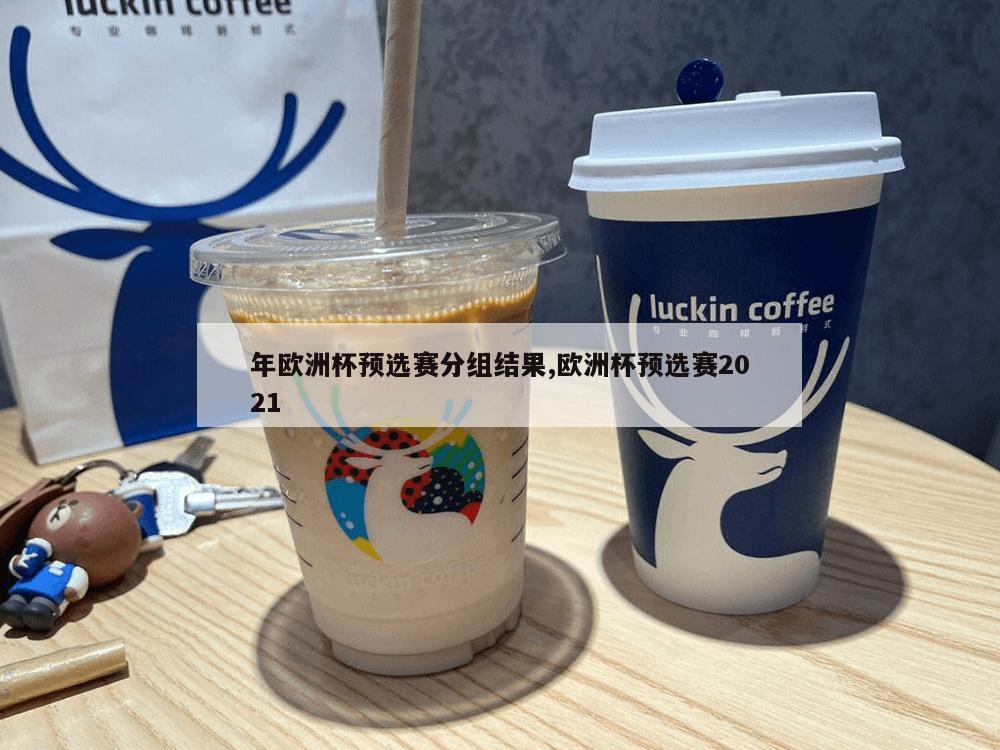 年欧洲杯预选赛分组结果,欧洲杯预选赛2021