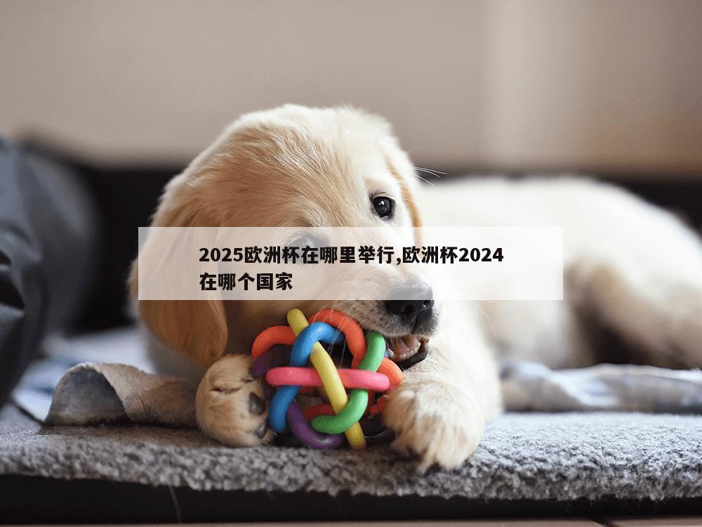 2025欧洲杯在哪里举行,欧洲杯2024在哪个国家