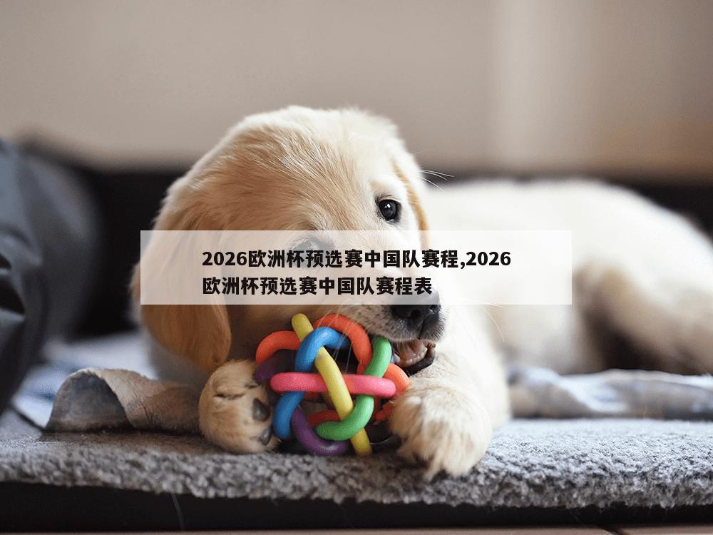 2026欧洲杯预选赛中国队赛程,2026欧洲杯预选赛中国队赛程表